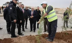 Mardin Yeşilli 2.ci OSB’de binlerce ağaç toprakla buluştu