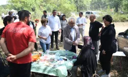 Edirne Keşan'da Dallık Şenlikleri coşkusu