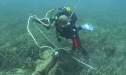 İzmir'de deniz dibinden 1,5 ton ağ çıkarıldı!