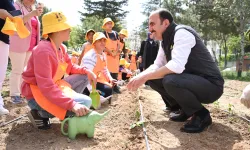 Konya'da tarıma 'engel' yok!