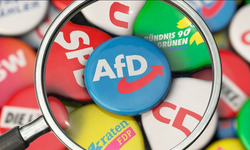 AfD Milletvekili Knodel, Partiden ve Parlamento Grubundan Ayrıldı