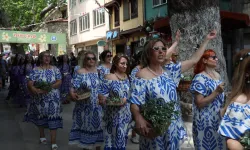 Bursa Mudanya'da zeytinin bereketi Tirilye sokaklarına taştı