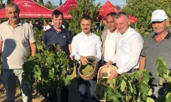 Kocaeli’de üzüm hasadı coşkuyla başladı