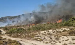 Urla yangını kontrol altına alındı