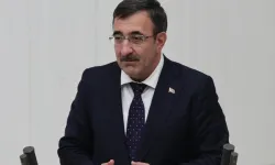 Cevdet Yılmaz'dan enflasyon yorumu: Yıllık enflasyon 15 aydır düşüyor