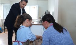 Dikili’de Ara Tatil Dolu Dolu Geçti