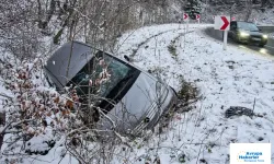 Almanya'da kar yağışı hayatı olumsuz etkiledi: 3 kişi yaşamını yitirdi