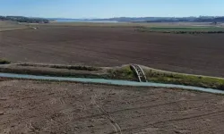 Kuraklık olunca Adana'daki Alman köprüsü ortaya çıktı