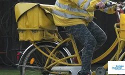 Almanya'da yüzlerce mektup çöpten çıktı