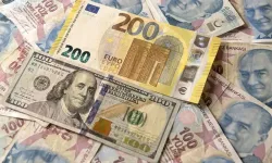 Almanya'nın dev bankasından TL tahmini