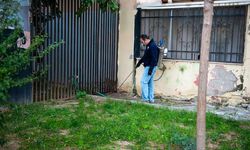 Karşıyaka’da haşerelere karşı kararlı mücadele