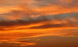 Almanya'da Sahra çölü tozu alarmı