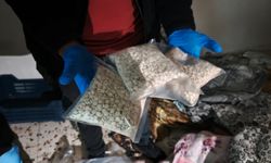 Adana'da 156 bin 418 uyuşturucu hap ele geçirildi, 5 zanlı tutuklandı