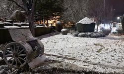 Afyonkarahisar'da kar yağışı etkili oldu