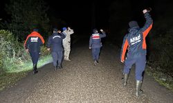 Bartın'da ormanda kaybolan yaşlı kadını bulmak için çalışma başlatıldı