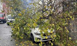 Beyoğlu'nda park halindeki aracın üzerine ağaç devrildi