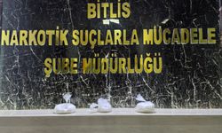 Bitlis'te uyuşturucu operasyonunda yakalanan 2 zanlı tutuklandı