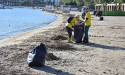 Bodrum'da kıyıya vuran atıklar gönüllüler tarafından temizlendi