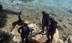 Bodrum'da ölü caretta caretta kıyıya vurdu