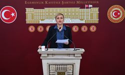 DEM Parti milletvekilleri basın toplantısı düzenledi