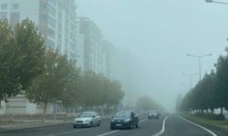 Diyarbakır'da sis etkili oldu