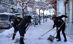 Erzurum Büyükşehir Belediyesinin 'kar timleri' mücadeleye başladı