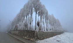 Hakkari'de soğuk hava ve sis etkili oldu