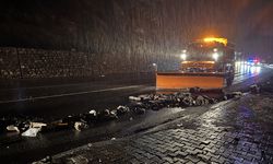 Hakkari'de yola düşen kaya parçaları ekiplerce temizlendi