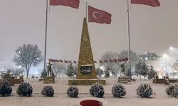 Iğdır'a mevsimin ilk karı düştü