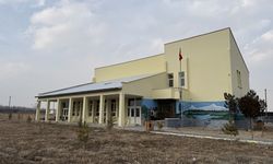 Iğdır'daki sahipsiz köpek sorunu büyük ölçüde çözüldü