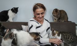Kanser tedavisi sürecinde evinde beslediği 30'dan fazla kediden güç ve moral buldu