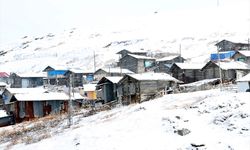 Kars ve Ardahan'da kar yağışı etkili oluyor