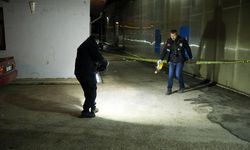 Kastamonu'da çıkan kavgada 2 kardeş yaralandı