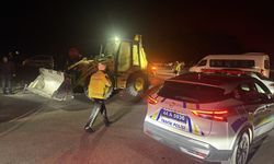 Malatya'da aracın çarptığı 6 safkan Arap tayı telef oldu