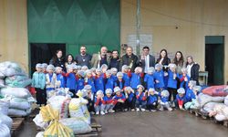 Manisa'da anasınıfı öğrencileri okul bahçesinde zeytin toplayıp yağa dönüştürdü