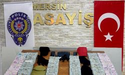 Mersin'de çalıştığı iş yerine 'yağma' süsü veren personel ve 2 şüpheliye gözaltı