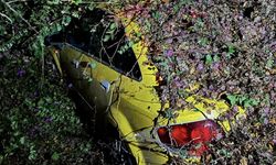 Mersin'de seyir halindeki taksi, devrilen ağacın altında kaldı