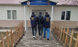 Muş'ta 'dolandırıcılık' suçundan aranan hükümlü yakalandı