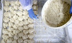 Osmanlı dönemi usulüyle yapılan tescilli Malatya tarhanası ihracata hazırlanıyor