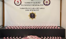 Samsun'da uyuşturucu operasyonunda 1 zanlı yakalandı