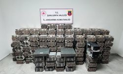 Şanlıurfa'da kripto para operasyonunda 1 şüpheli yakalandı