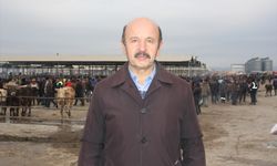 Şap hastalığı tedbirleri kapsamında geçici kapatılan Şarkışla Canlı Hayvan Pazarı yeniden açıldı