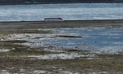 SAPANCA GÖLÜ ALARM VERİYOR - Azalan yağışlarla su seviyesi kritik eşiğin altına düştü