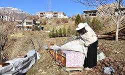 Şırnaklı kadın arıcılık sayesinde 5 çocuğunu üniversitede okuttu