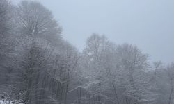 Tokat'ın yüksek kesimleri beyaza büründü