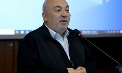 Türkiye'de kışlama döneminde arı ölümleri artıyor