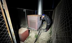 Adana'da don önleyici pervaneler narenciyeler için çalıştı