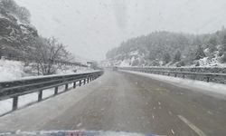 Afyonkarahisar'da kar yağışı etkili oldu