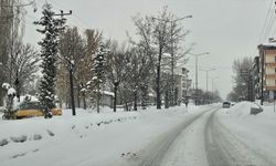 Ağrı ve Kars'ta kar ve tipi etkili oluyor