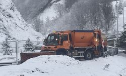 Anadolu Otoyolu ve D-100 kara yolu Bolu Dağı geçişinde kar etkili oluyor
